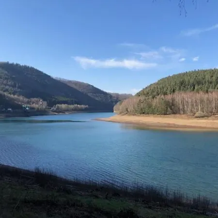 La Petite Brique *